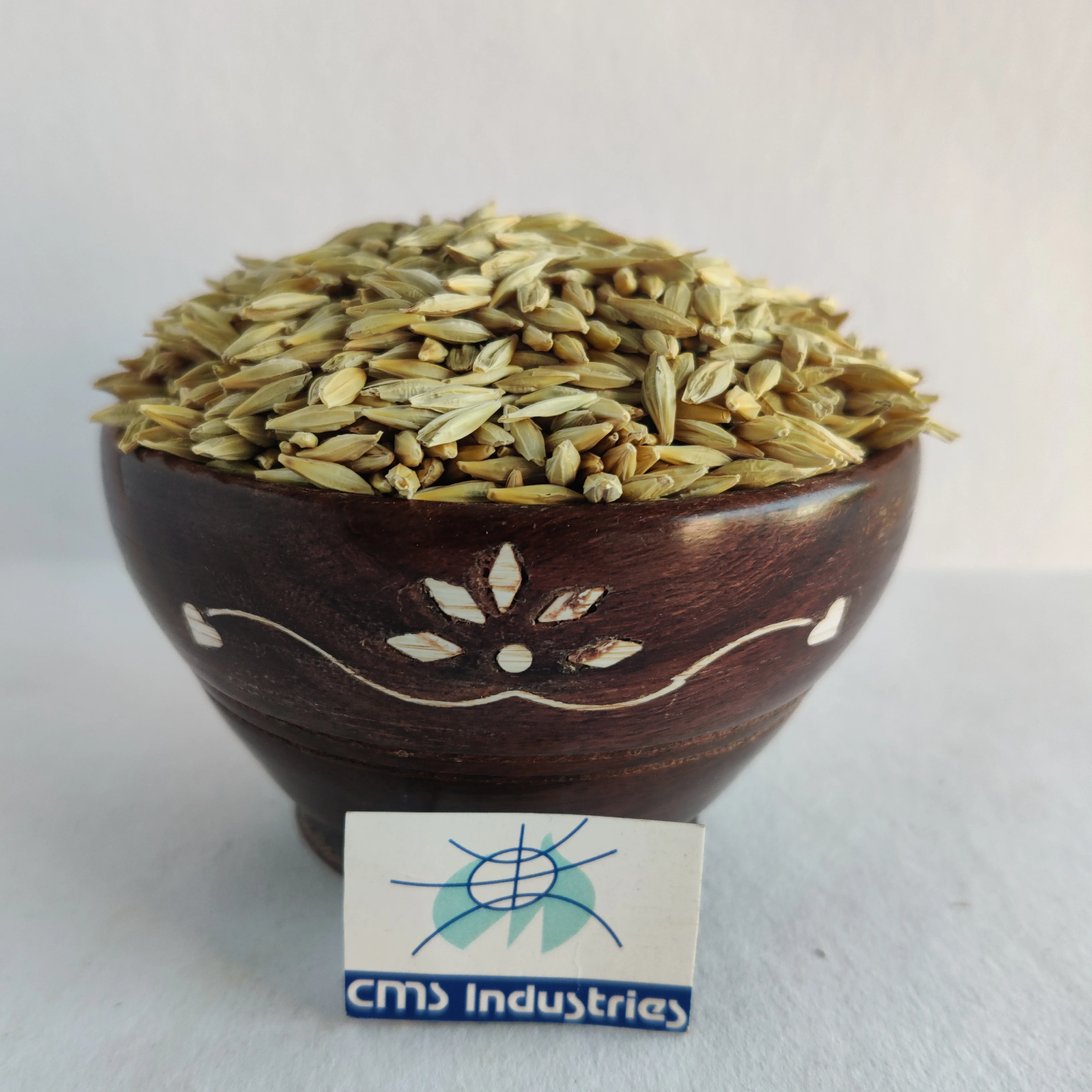 Standardized Quality Barley at Best Price