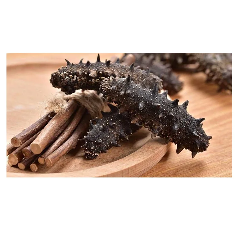 SUPPLIER DRIED SEA CUCUMBER HIGH QUALITY WHITE TEAT FISH CHEAP PRICE ELEPHAN TRUNKFISH FROM VIETNAM