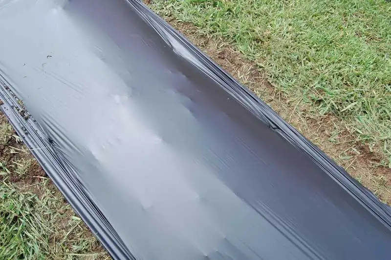 Wrapping Film Moisture Proof Feature and Agriculture Usage Polyethylene Vietnam Factory Direct LDPE Custom Size Accepted OEM-P7