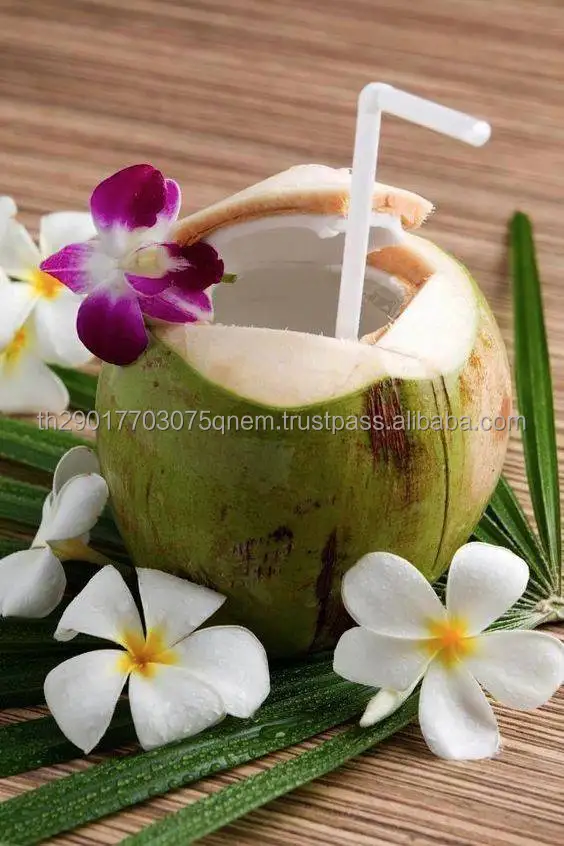 Premium Grade 100% Natural Coconut Young Coconut Fruit From Thailand