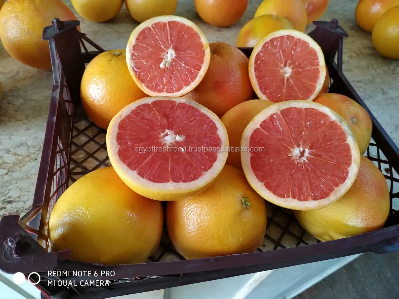 
Best quality Citrus from Egypt , Fresh crop , mandarin 