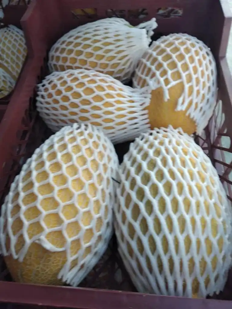 Melon Premium Fresh Melon Turkey Fast Shipping