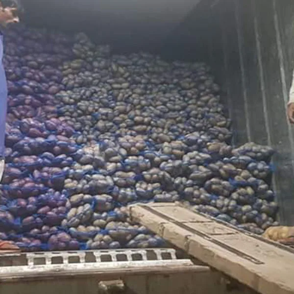 Potatoes High Quality Fresh Mozika Express Potatoes form Pakistan