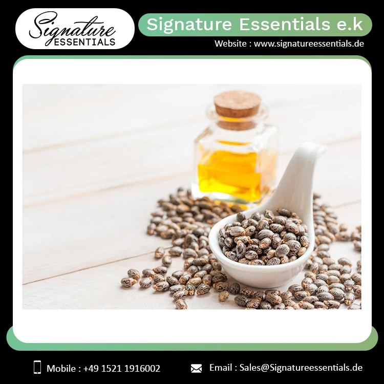 Top Quality Bulk Sale Castor Carrier Oil Cold Fresh Organic Oil for Hair Growth