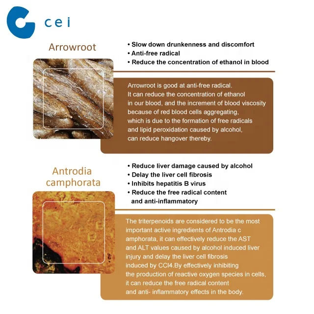 Liver Tonic Hangover Cure Arrowroot, Schisandra, Artichoke Extract