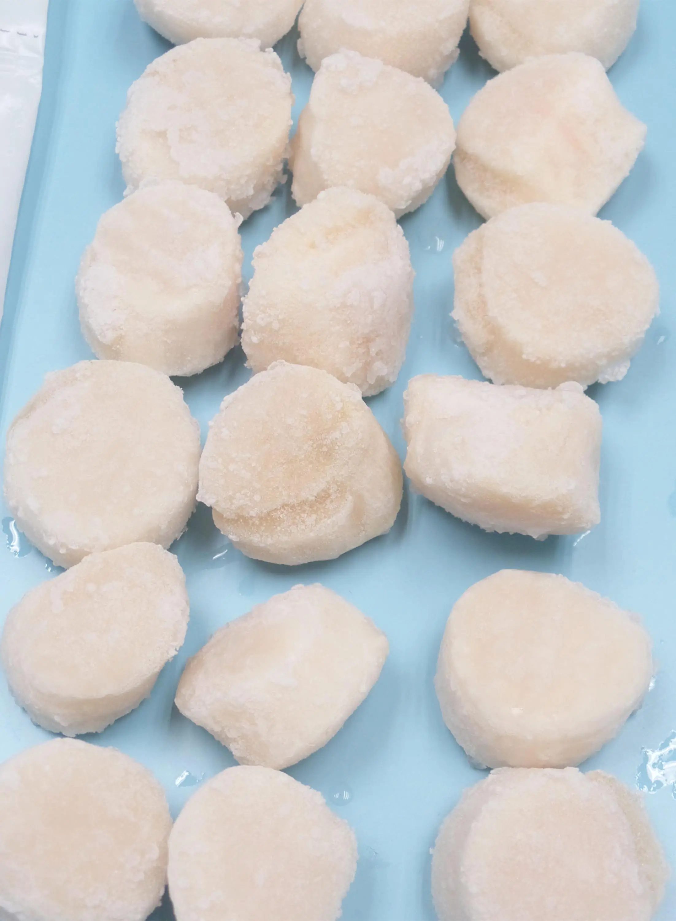 Frozen scallop
