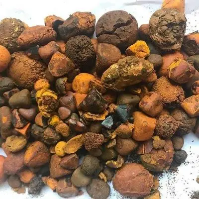 Корова желчный камни бык коровий камень экстракты животного