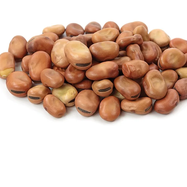 
High Quality Dry Broad Bean Fava Bean Faba Bean For Sale 