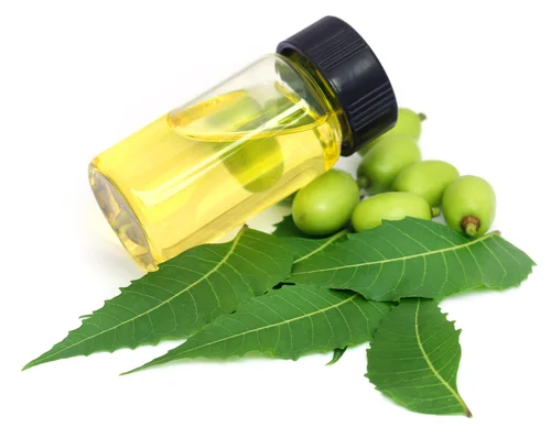 Organic Certified Neem Carrier Oil With Fungicide Property In a Private