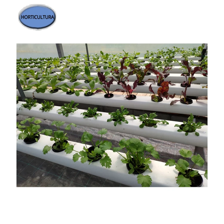Hot Selling of Indoor Farm Used Healthy Plants H2HYBRID Hydroponic Systems for Worldwide Customers