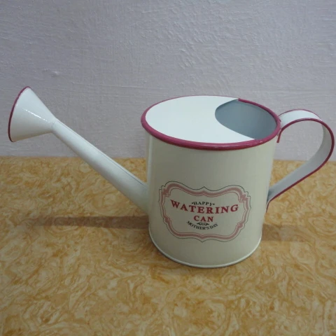 Декоративный Гальванизированный мини-тростник для полива сада и украшения дома, водные трости и кастрюли по оптовым ценам