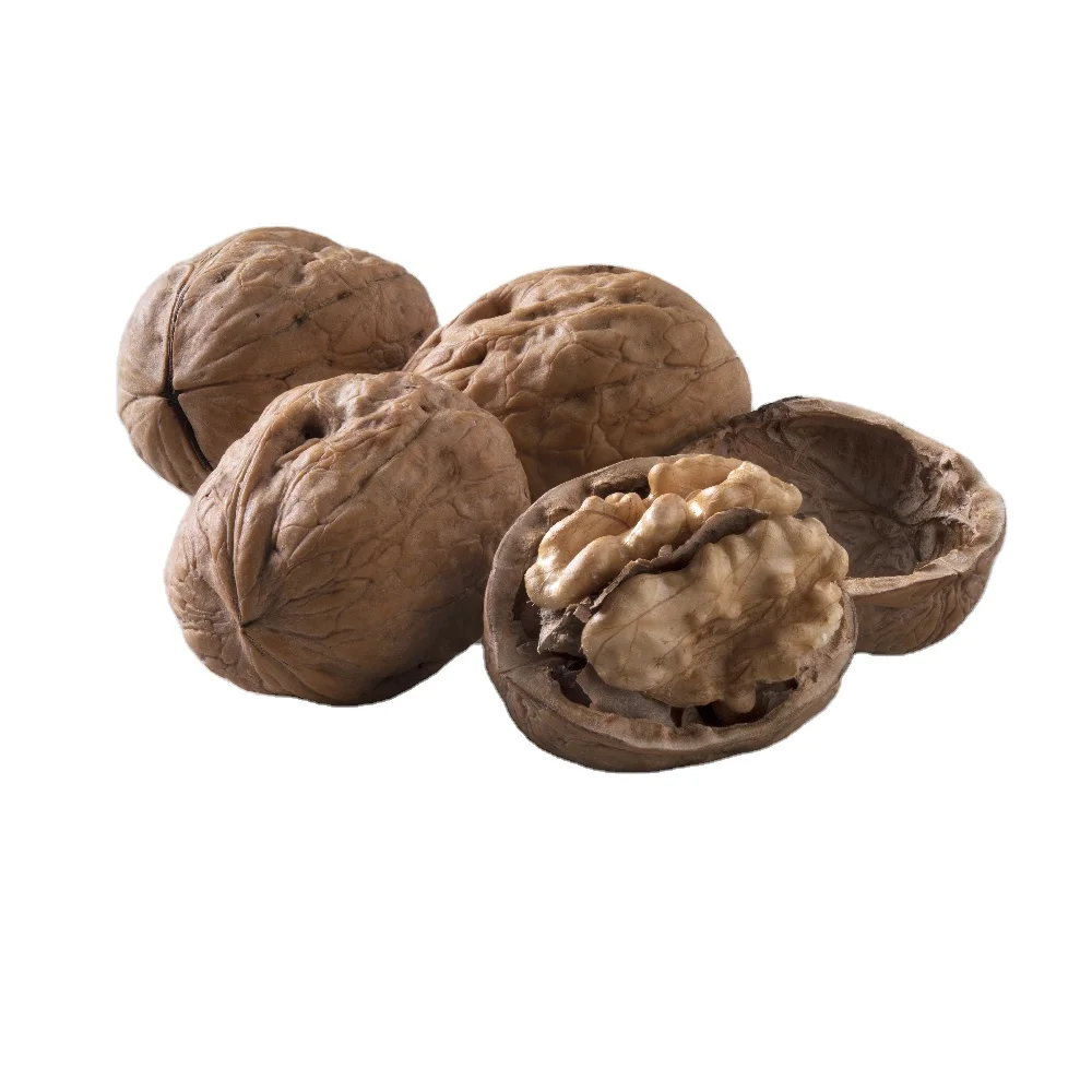 Большой/большой Натуральный Орех