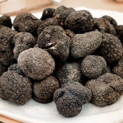 
Detan Fresh Wild Black Truffles Mushrooms 
