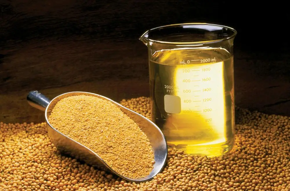 
High Oleic Refined Soybean Oil 