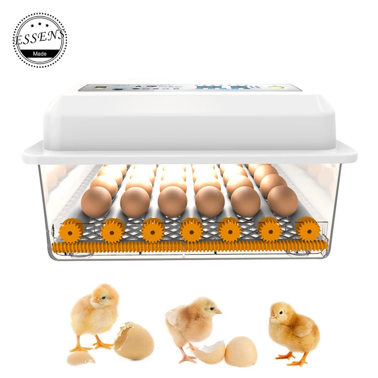  Hot sale high hatching rate 24/30/36/42 egg capacity automatic birds machine incubator mini