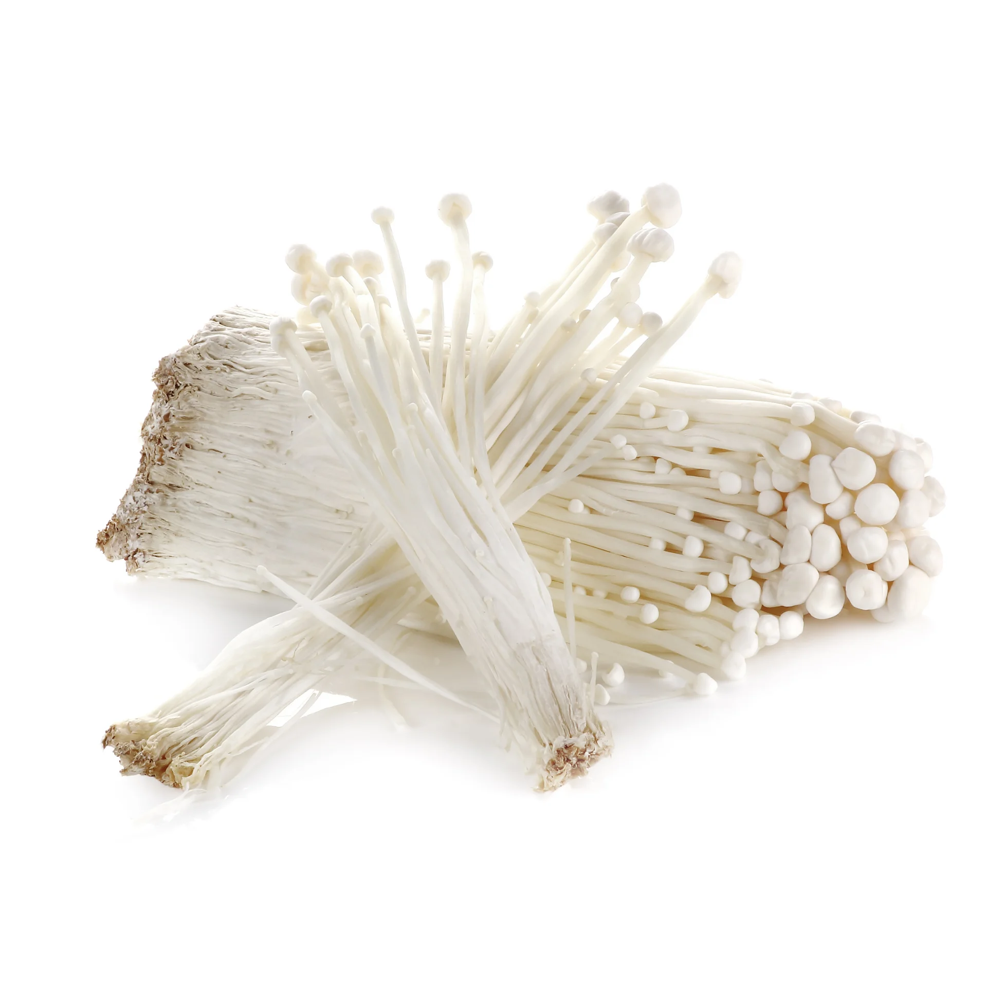 Enoki грибы-высокое качество