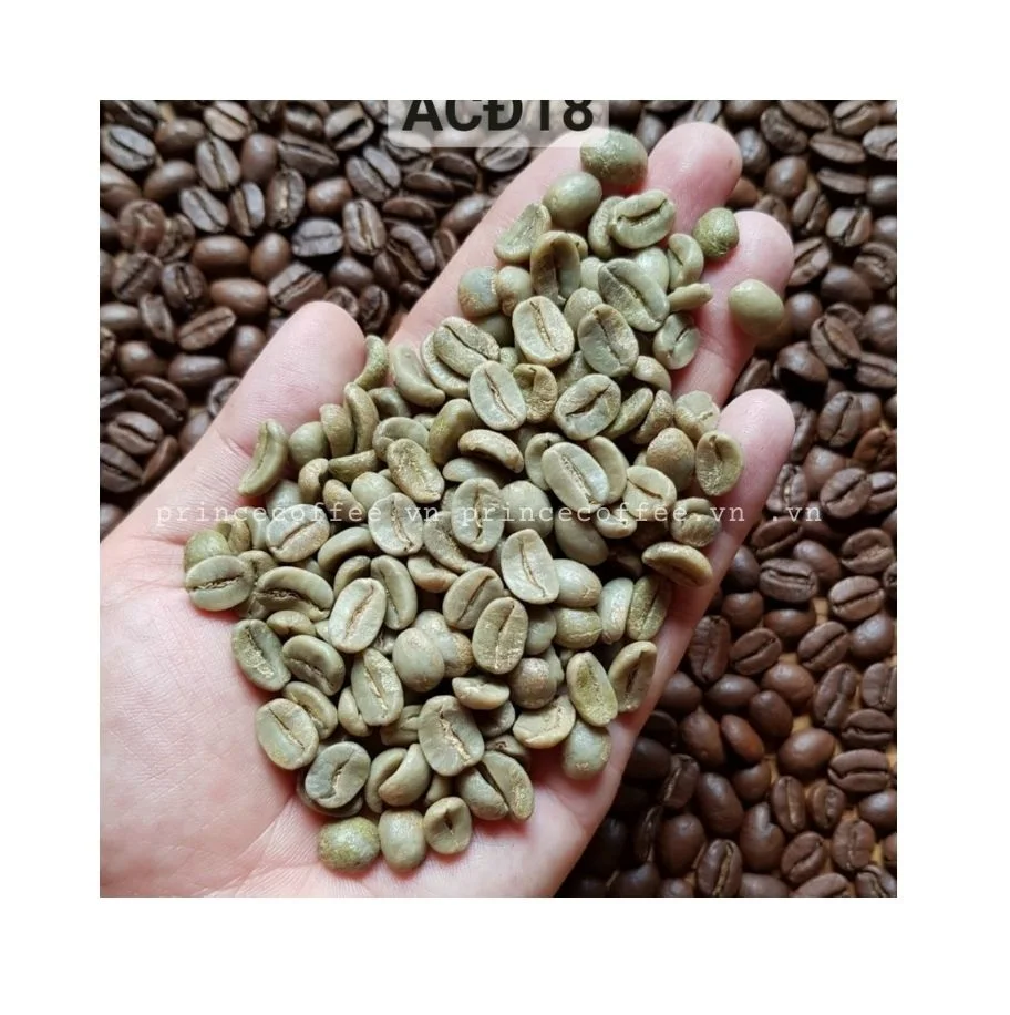 Лидер продаж, кофейные зерна Арабика от вьетнамского поставщика, органические зеленые кофейные зерна, кофейные зерна-Сырые Зерна