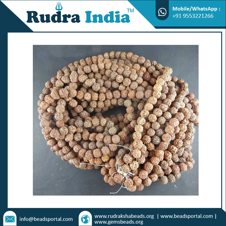  Натуральная Подлинная 14 мм Rudraksha Jap Mala Rudraksh String оптовая покупка