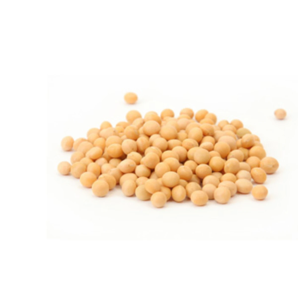 Высококачественные натуральные и без ГМО желтые соевые семена