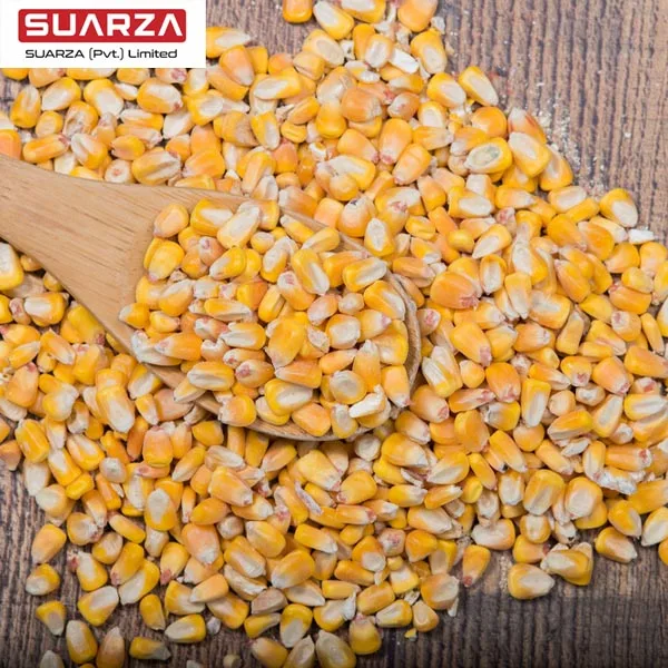 
Pakistan yellow corn/maize/animal feed premium quality 