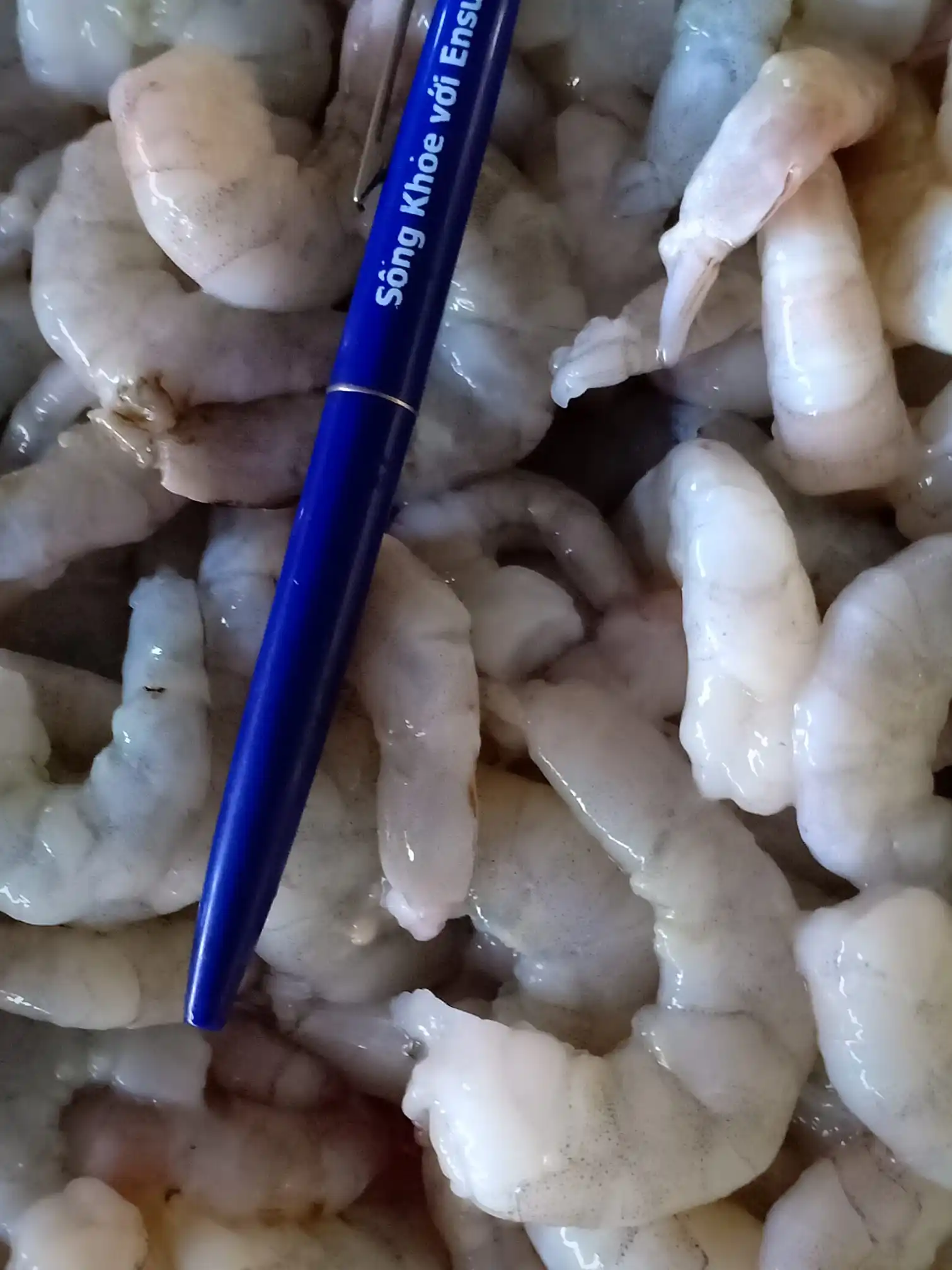 HIGH QUALITY Raw Vannamei Shrimp HLSO, Headless, Shell On Wholesale Frozen Seafood made in Vietnam Shrimp MR PORTER +84896612931