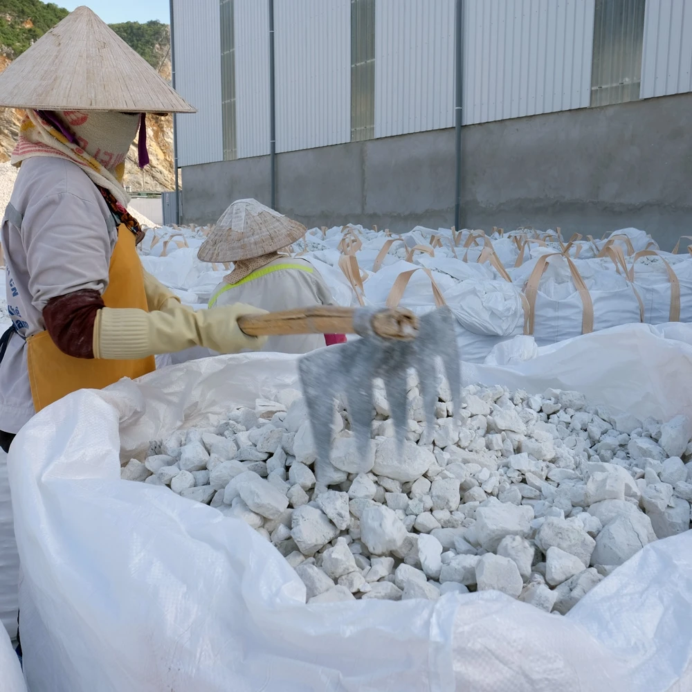 Top Quality Quick lime, oxide calcium, CaO > 90% with cheapest price made in Vietnam