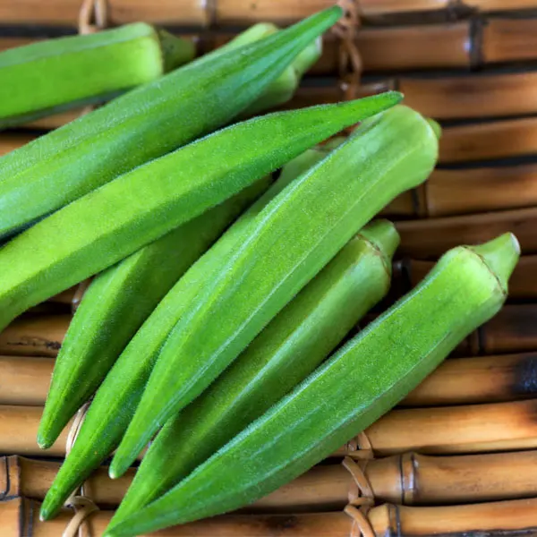Okra свежий и замороженный по конкурентоспособной цене-содержит много полезных преимуществ для продажи