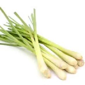 
BEST PRICE 100% PURE LEMONGRASS ESSENTIAL OIL FOR COSMETIC/ MOSQUITO 