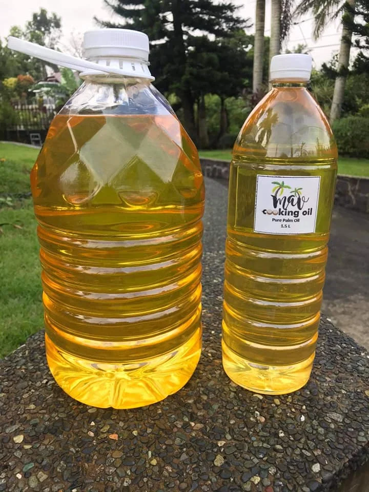 Высокоплиссированный фильтр-картридж с сумкой-фильтром корпус система фильтрации воды пальмовое масло оптовая продажа