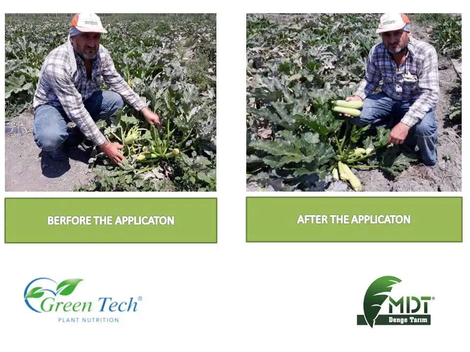 Green Tech AlgaCell - Liquid Biologic Fertilizer - Microbiel Fertilizer - With ACT (Active Cell Technology)