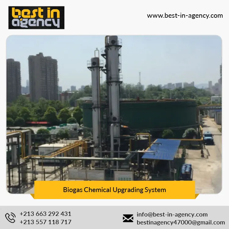 Biological CH4 Content 97% Chemical Type Food-Waste Treatment Upgrading System to Natural Gas