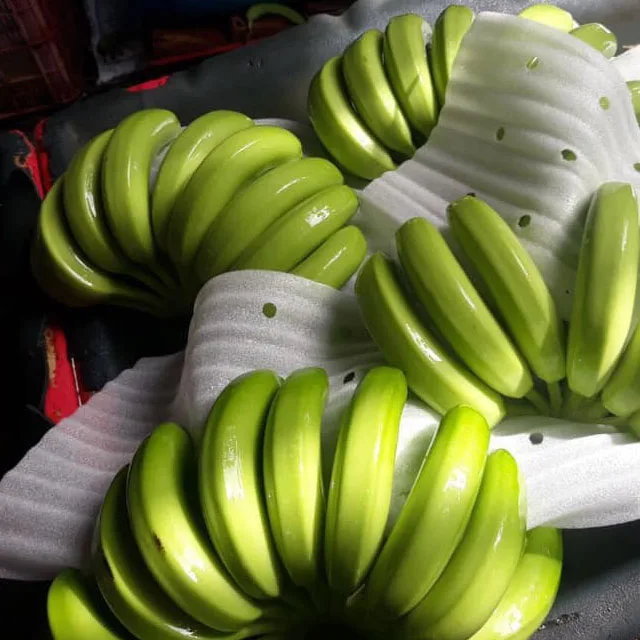 
Fresh banana puree price in UAE INDIA PHILIPPINE product 2020 