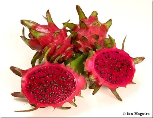 Фантастический Свежий фрукт дракона