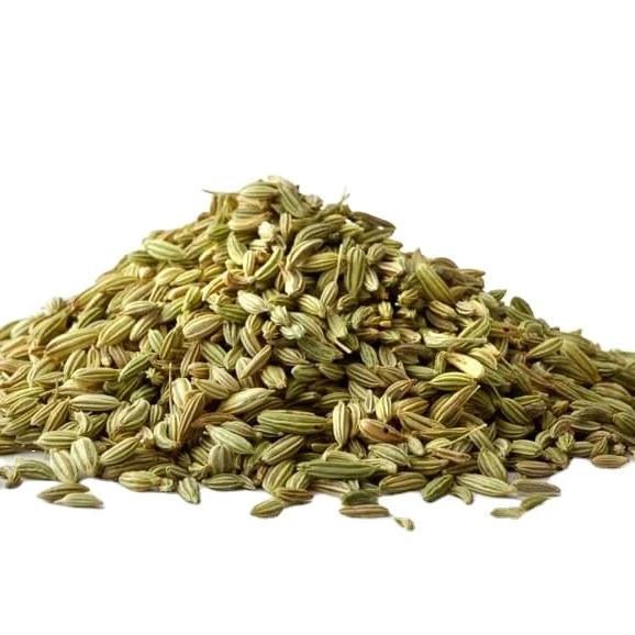 organic green fennel seeds powder bold sortex machine clean top quality from indian manufacturer