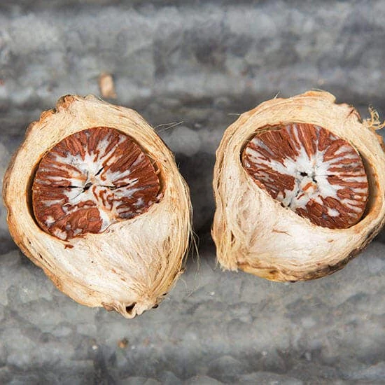 Сушеные Орехи Арека