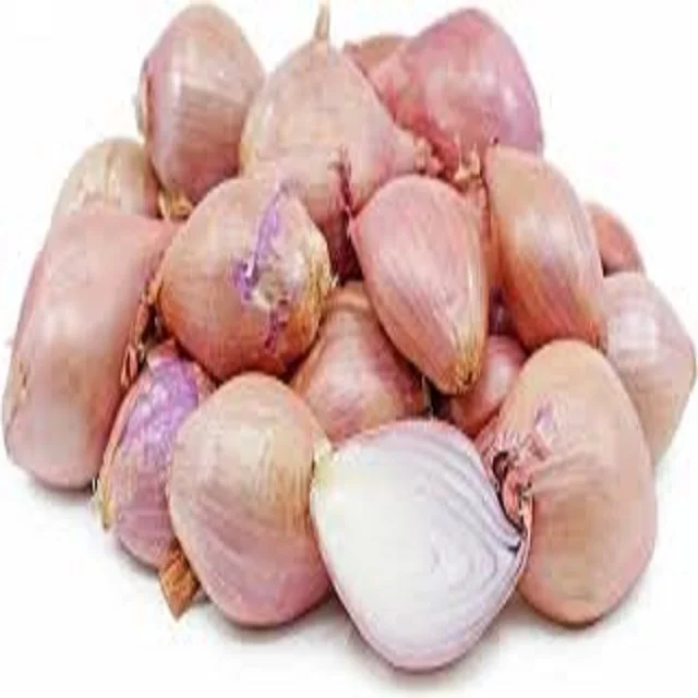 Small Shallot Onion - The Small Shallot onion  way of life.