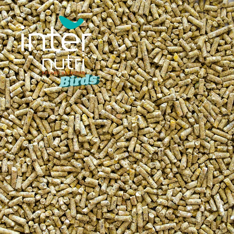 
Granulated feed for blackbirds | INTERNUTRI BLACKBIRDS 5KG 