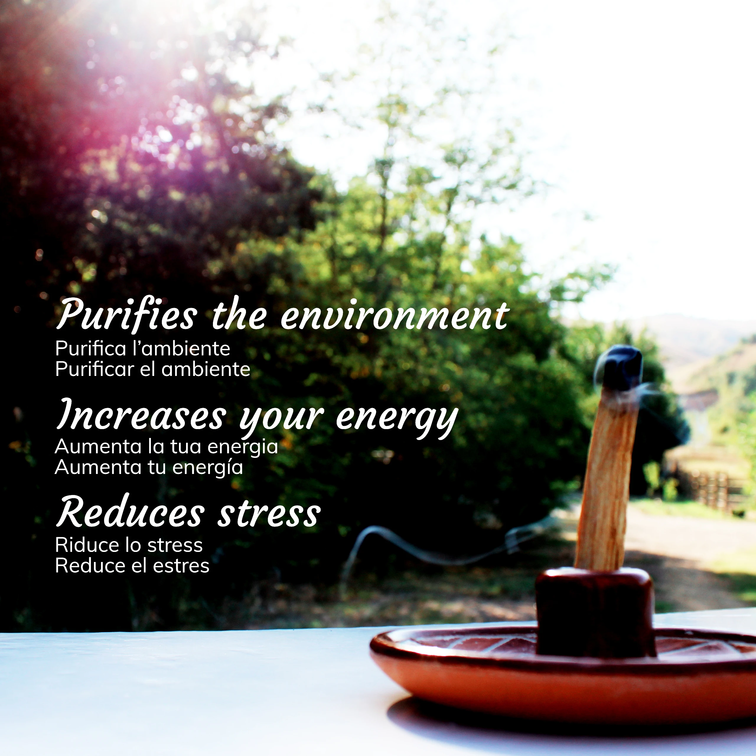 Палочки Пало Санто ритуал-свежий и бальзамический аромат из Эквадора-натуральные благовония палочки-5 палочек в упаковке