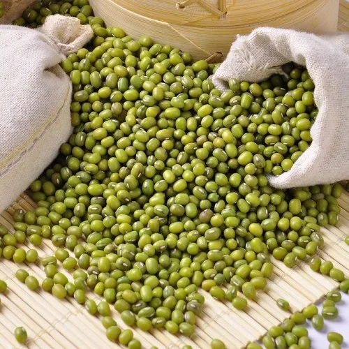 Wholesale Green Mung Beans available for sale