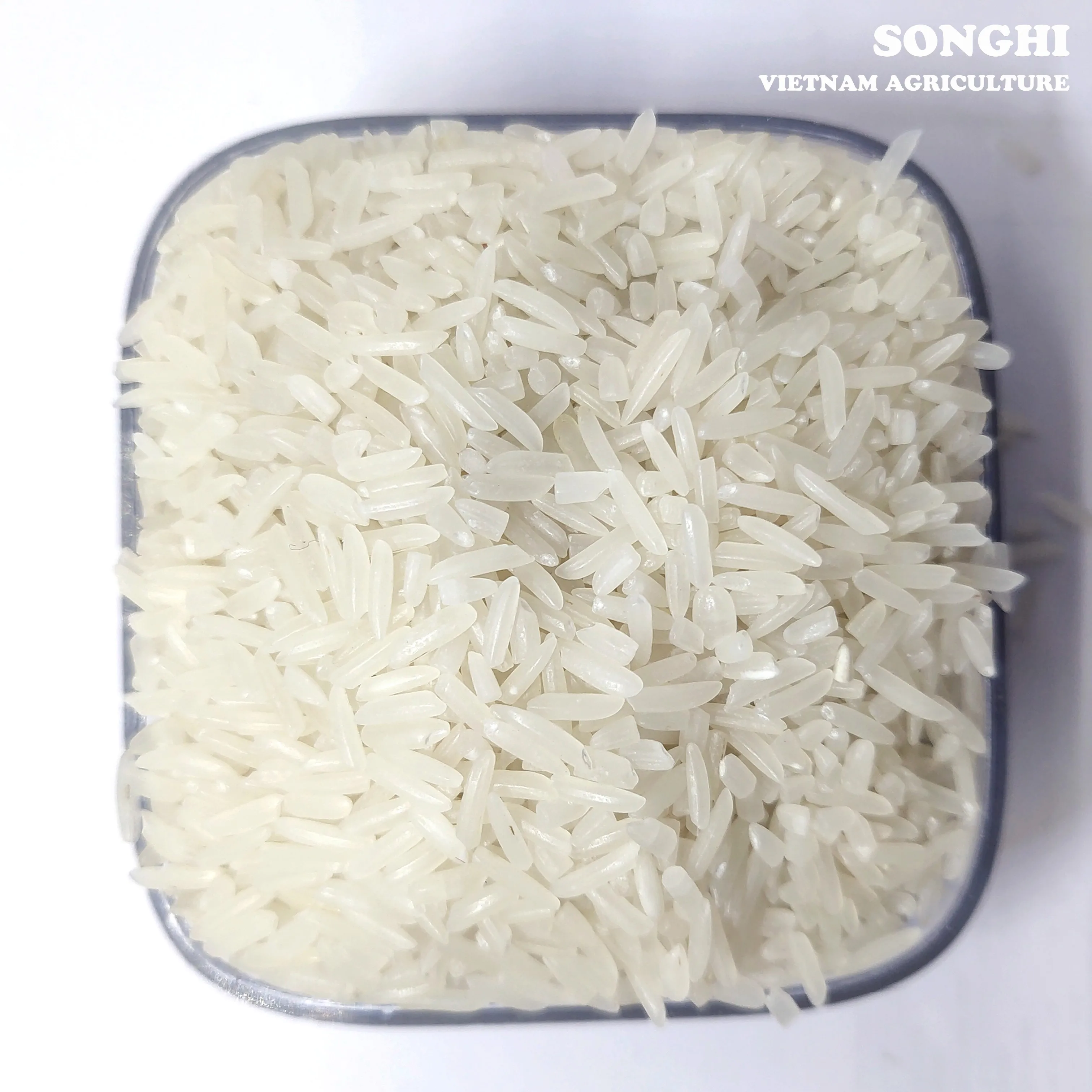 
Asian Rice / Best Rice awarded / White rice from Vietnam for wholesale (ST25) 