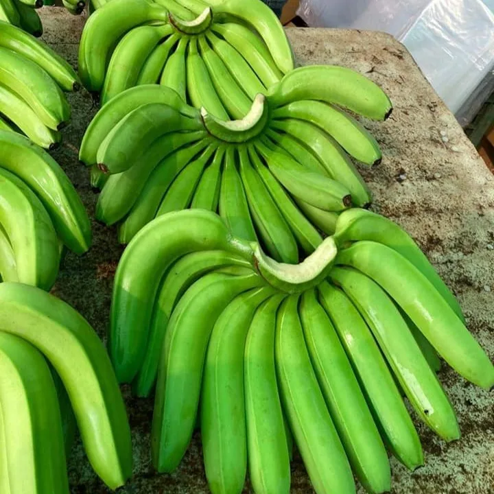 Fesh Cavendish Banana from Vietnam to the best price - VietGAP and GlobalGAP standards in agricultural production