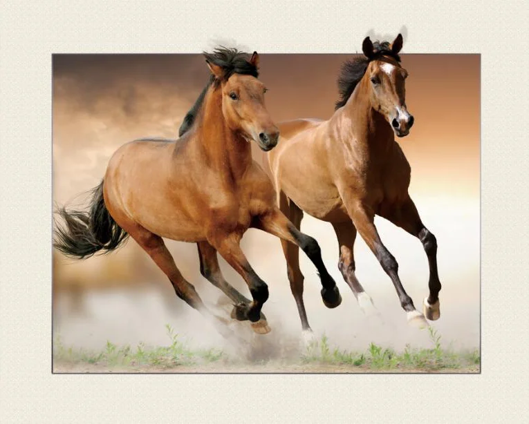 5d lenticular picture with horse for decoration