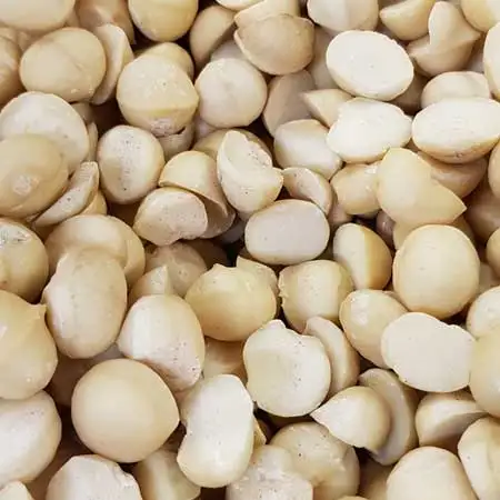 Wholesale top grade macadamia nuts with shell high quality macadamia nuts from Vietnam