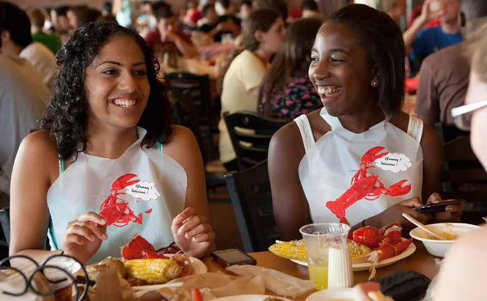 Disposable Plastic Lobster Bibs Crawfish Bibs - Keep Clothing Clean Direct from Vietnam Manufacturers