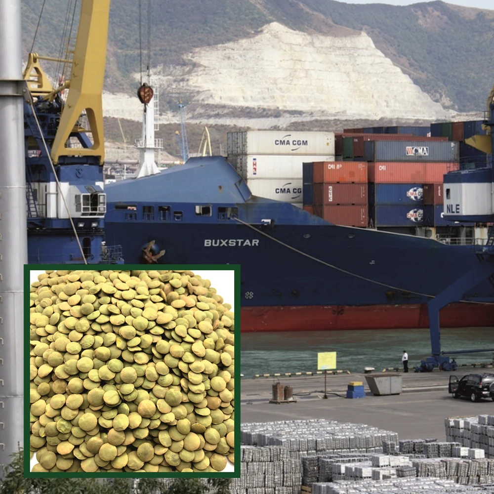 Great quality whole lentils big bag, from manufacturer