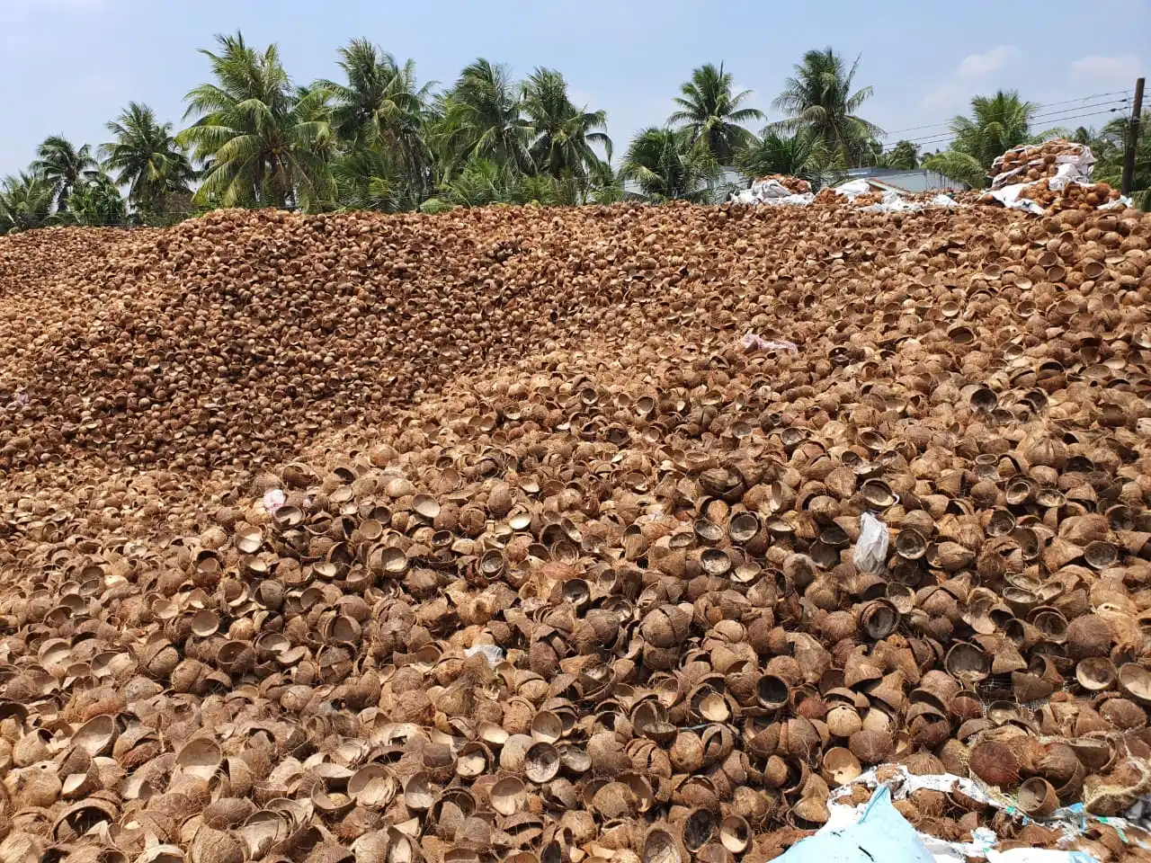 Coconut shell charcoal raw material ,  Activated Carbon Manufacturer low price Coal-Based coconut from Vietnam