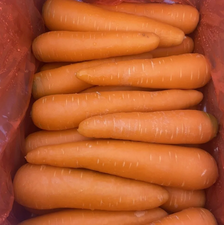 Органические овощи новая свежая морковка высшего сорта Вьетнам