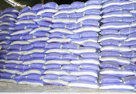 100% одобренная белая фасоль 2021