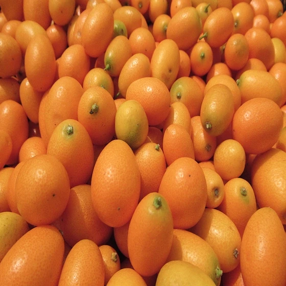 Свежие желтые фрукты KUMQUAT из Турции