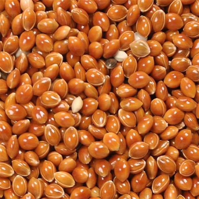 
RED Millet 
